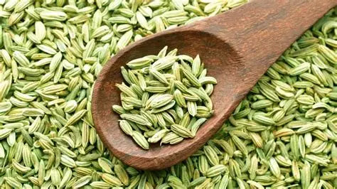 Fennel Seeds