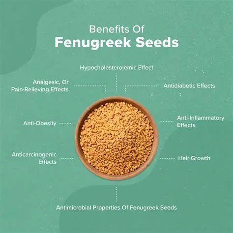 Fenugreek Seeds