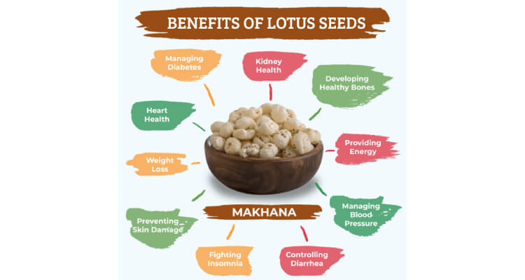 Lotus seeds