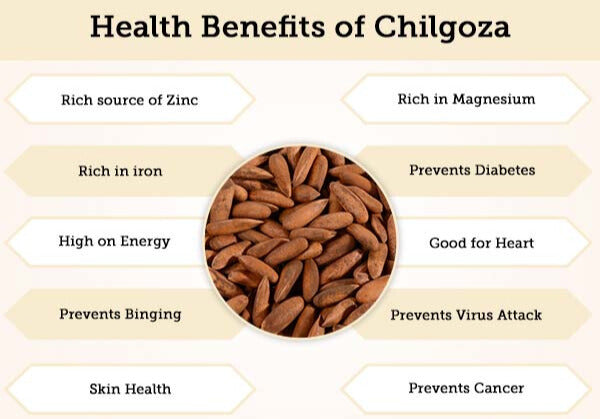 Chilgoza (Pine Nut)
