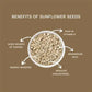 Sun Flowers Seeds Without Shells