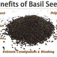 Basil Seeds
