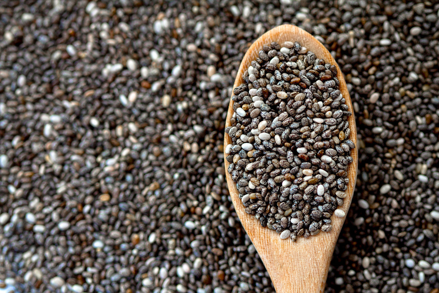 Chia Seeds High in Fiber, Protein & Weight Loss