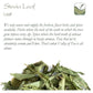 Stevia Dried Leaves