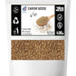 Carom Seeds