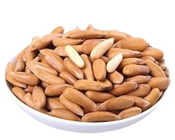 Chilgoza (Pine Nut)